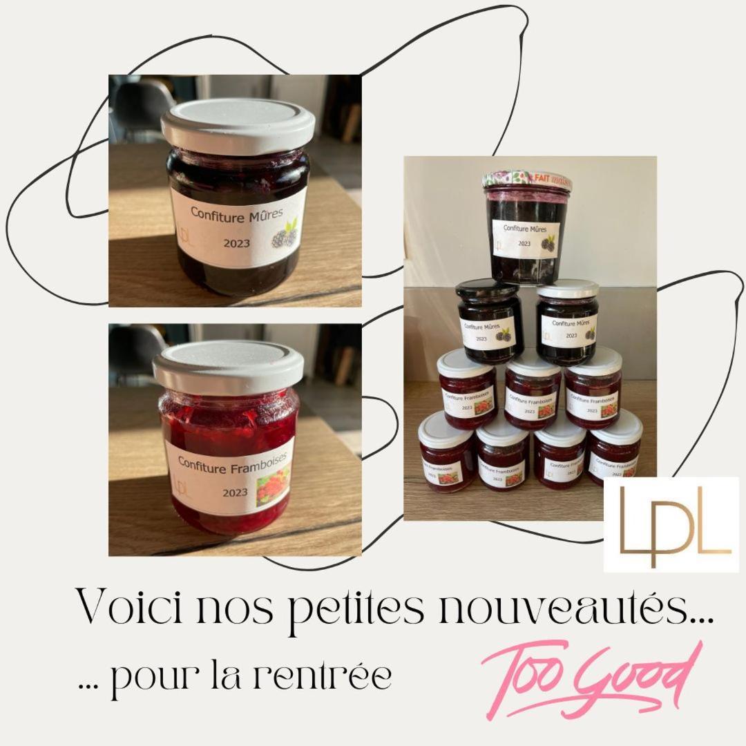 Bed and Breakfast Logis De Pierre Levee Bessines Exterior foto